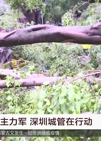 山竹爆料深圳视频,深圳幕后真相大曝光 第3张 山竹爆料深圳视频,深圳幕后真相大曝光 第3张